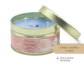 Vela com Pedras naturais Mystic - Limpa casas (Com Ametista)